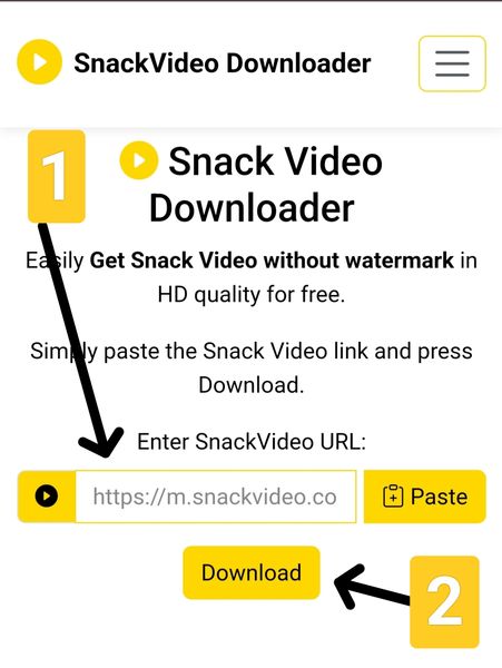 Paste link into Snack Video Downloader